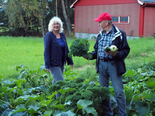Austrått community supported agriculture, Austrått agrotourism, gårdsturisme, organic agriculture two persons standing in a vegetable field, enjoying the sight of delicious vegetables