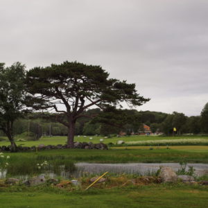 Austrått golfbane, Austrått golfklubb, Austrått agroturisme, en golfbane med et vannhull i forgrunnen, driving range sees i bakgrunnen