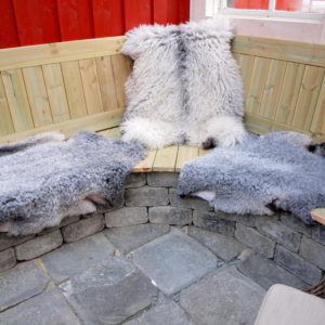 Austrått agroturisme, Norsk Pelssau, to kortklipte lammeskinn og et stort langhåret skinn av Norsk Pelssau