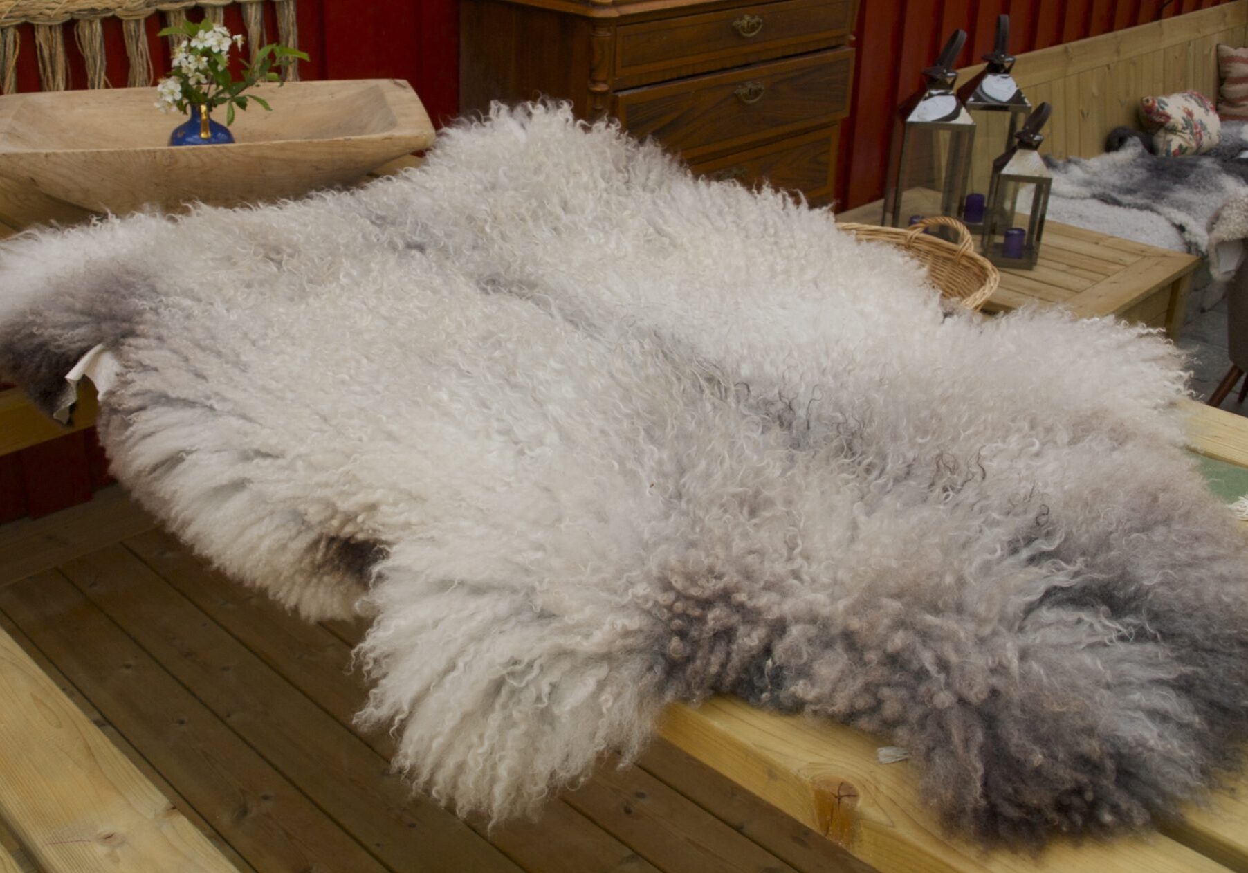 Norsk pelssau, austrått agroturisme, uklippet lyst grått saueskinn oppå et trebord