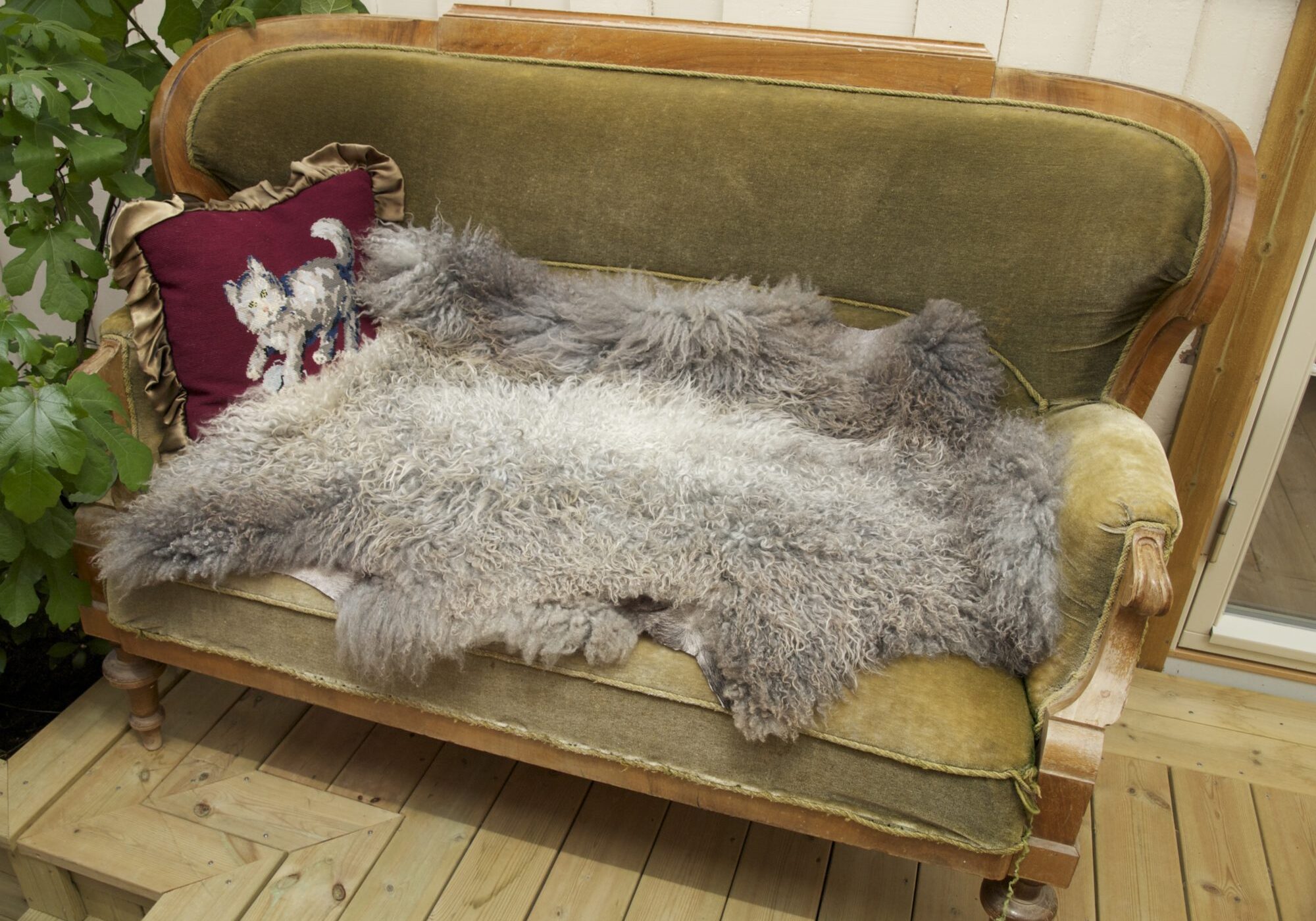 Norsk pelssau, austrått agroturisme, stort lammeskinn, uklippet, saueskinn i gammel og grønn sofa, rød pute på venstre side